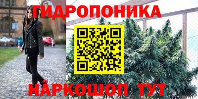 прущие грибы Кунгур
