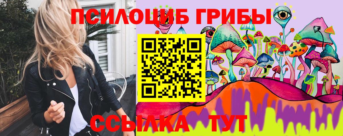Камень-на-Оби  Псилоцибиновые грибы MAGIC MUSHROOMS  Вход с VPN 