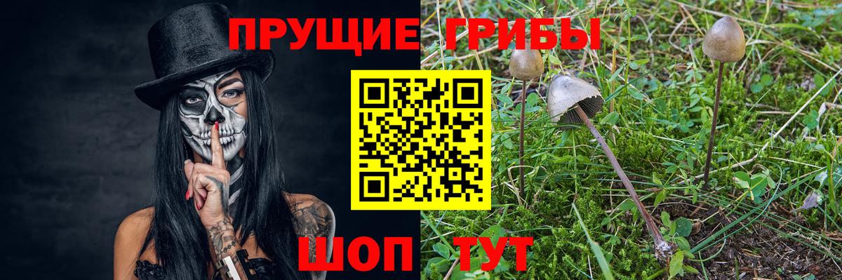 Псилоцибиновые грибы GOLDEN TEACHER Камень-на-Оби